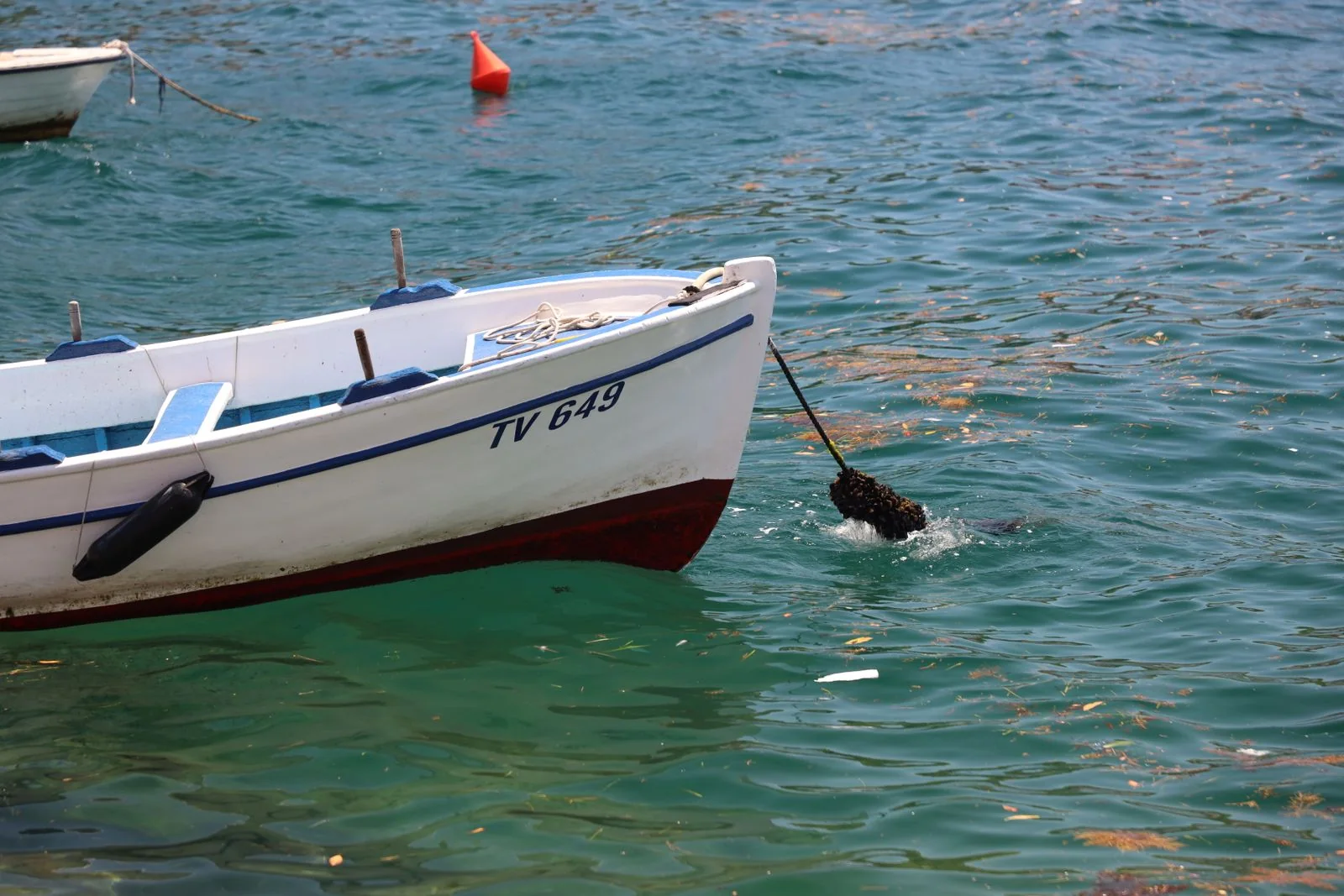 Boat viewed from above on the water.